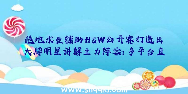 绝地求生辅助H&W公开赛打造出大牌明星讲解主力阵容：多平台直播成新标准