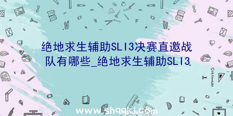 绝地求生辅助SLI3决赛直邀战队有哪些_绝地求生辅助SLI3决赛直邀战队引见