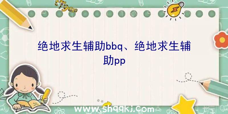 绝地求生辅助bbq、绝地求生辅助pp