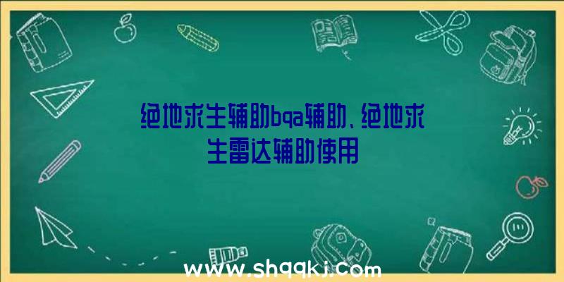 绝地求生辅助bqa辅助、绝地求生雷达辅助使用