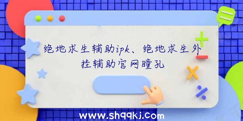 绝地求生辅助ipk、绝地求生外挂辅助官网瞳孔