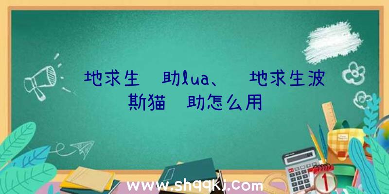 绝地求生辅助lua、绝地求生波斯猫辅助怎么用