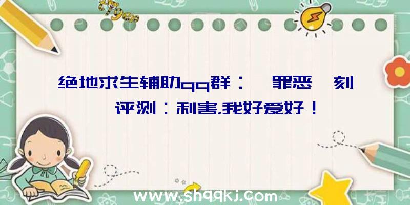 绝地求生辅助qq群：《罪恶冥刻》评测：利害，我好爱好！