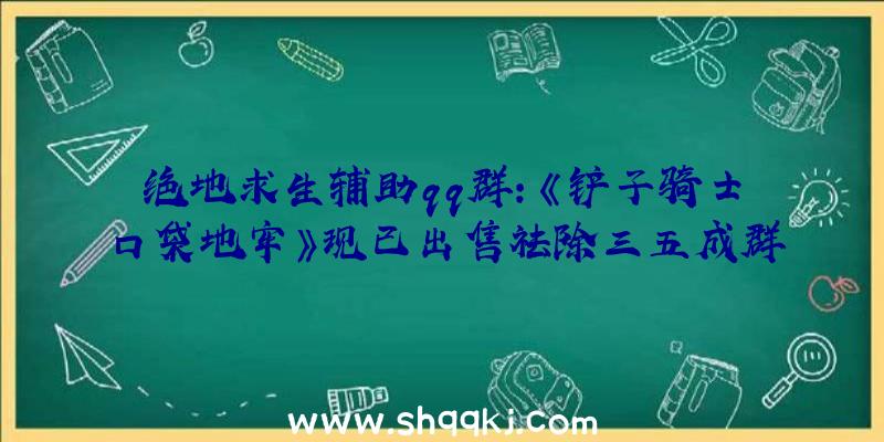 绝地求生辅助qq群：《铲子骑士口袋地牢》现已出售祛除三五成群的朋友并获取新配备