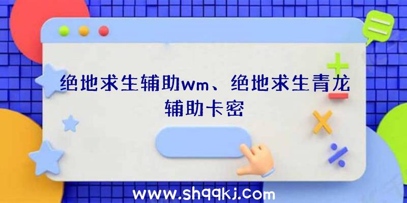 绝地求生辅助wm、绝地求生青龙辅助卡密