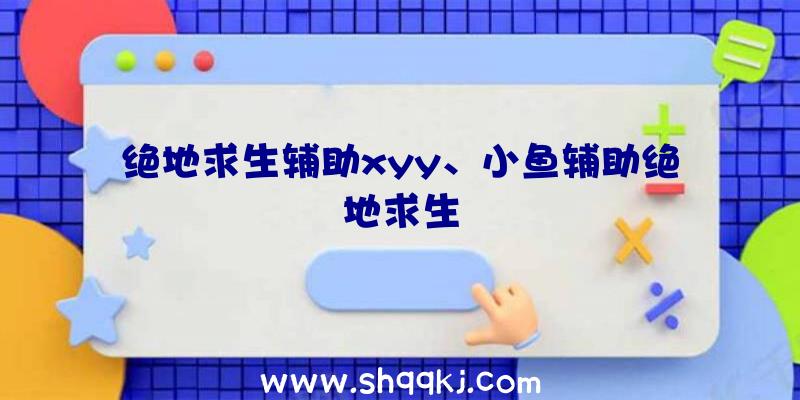 绝地求生辅助xyy、小鱼辅助绝地求生