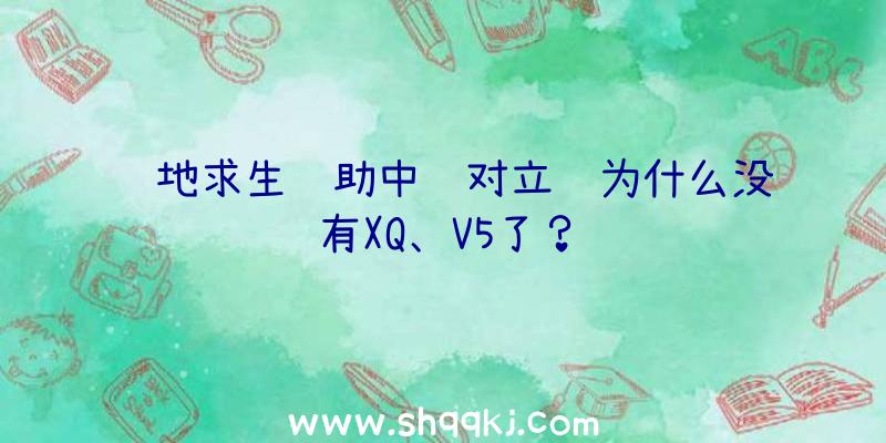 绝地求生辅助中韩对立赛为什么没有XQ、V5了？