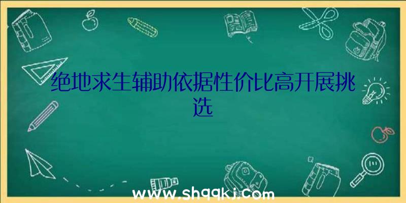 绝地求生辅助依据性价比高开展挑选