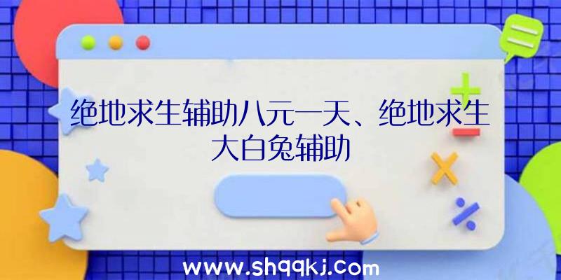 绝地求生辅助八元一天、绝地求生大白兔辅助