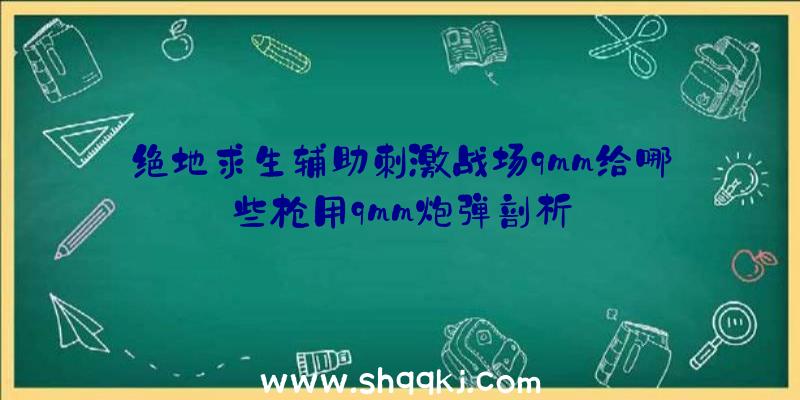 绝地求生辅助刺激战场9mm给哪些枪用9mm炮弹剖析