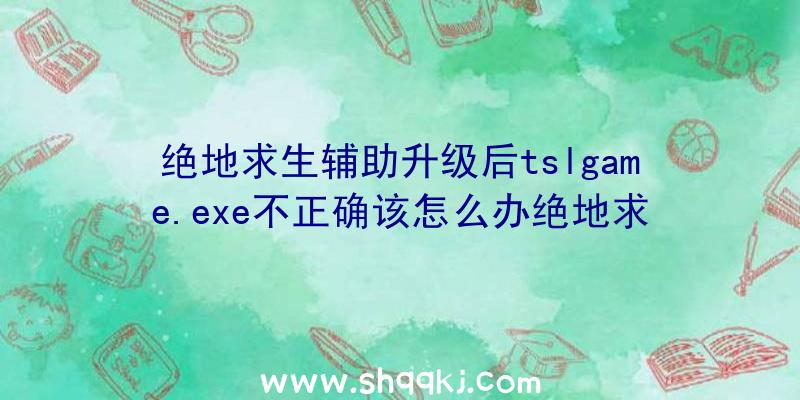 绝地求生辅助升级后tslgame.exe不正确该怎么办绝地求生辅助t