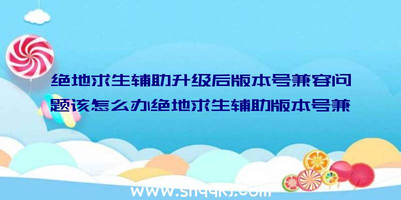 绝地求生辅助升级后版本号兼容问题该怎么办绝地求生辅助版本号兼容问题解决方案