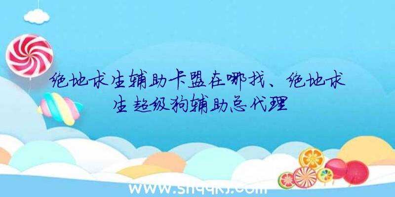 绝地求生辅助卡盟在哪找、绝地求生超级狗辅助总代理