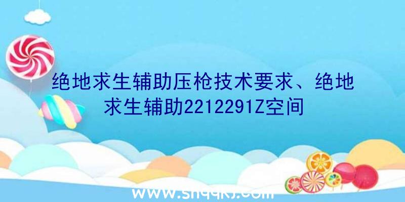 绝地求生辅助压枪技术要求、绝地求生辅助2212291Z空间