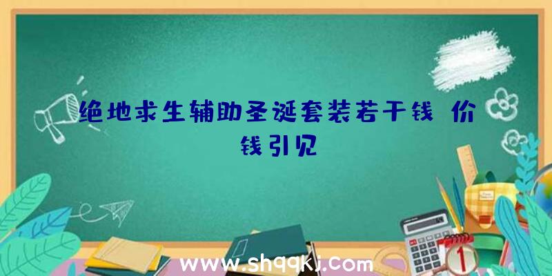 绝地求生辅助圣诞套装若干钱_价钱引见