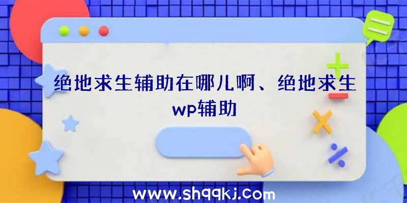 绝地求生辅助在哪儿啊、绝地求生wp辅助