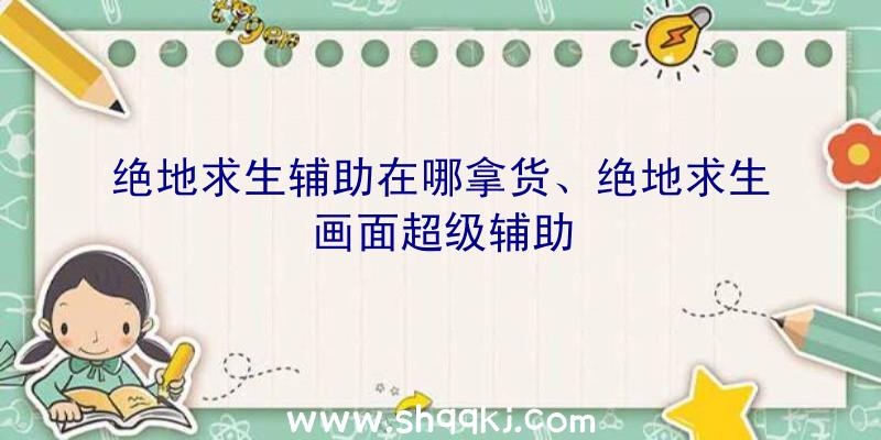 绝地求生辅助在哪拿货、绝地求生画面超级辅助