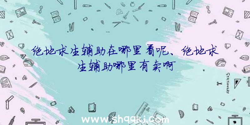 绝地求生辅助在哪里看呢、绝地求生辅助哪里有卖啊