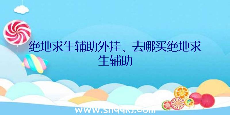 绝地求生辅助外挂、去哪买绝地求生辅助