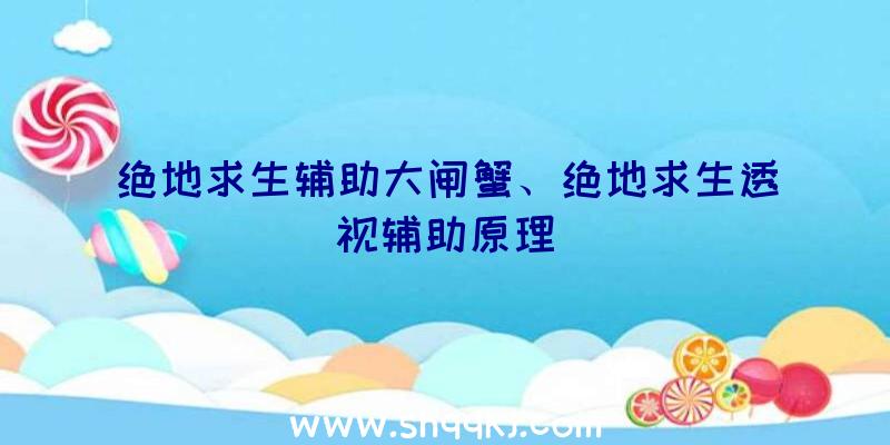 绝地求生辅助大闸蟹、绝地求生透视辅助原理