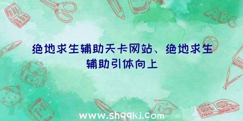 绝地求生辅助天卡网站、绝地求生辅助引体向上