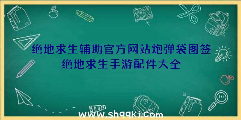 绝地求生辅助官方网站炮弹袋图签绝地求生手游配件大全