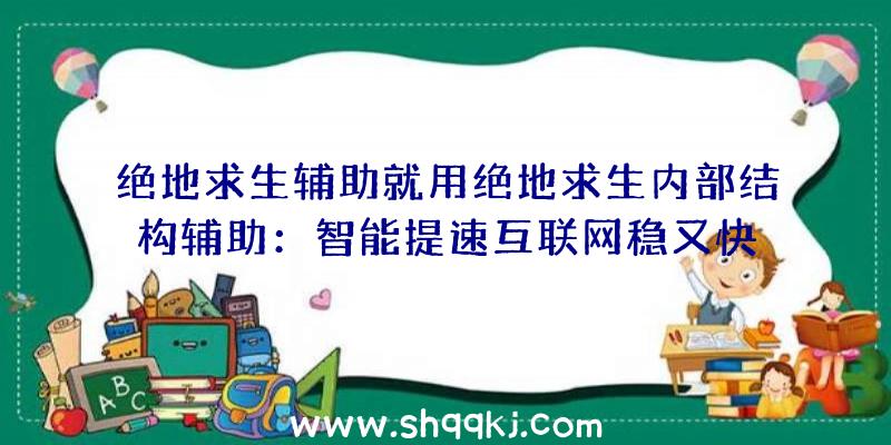 绝地求生辅助就用绝地求生内部结构辅助：智能提速互联网稳又快