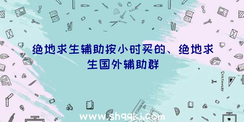 绝地求生辅助按小时买的、绝地求生国外辅助群