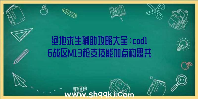 绝地求生辅助攻略大全：cod16战区M13枪支技能加点构思共享