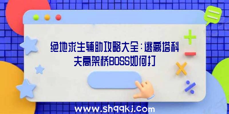 绝地求生辅助攻略大全：逃离塔科夫高架桥BOSS如何打