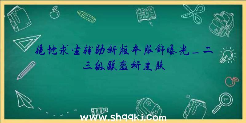 绝地求生辅助新版本服饰曝光_二三级头盔新皮肤