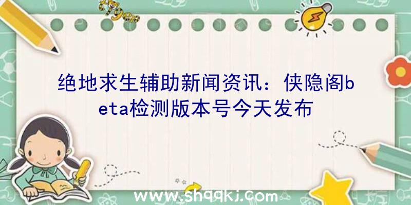 绝地求生辅助新闻资讯：侠隐阁beta检测版本号今天发布