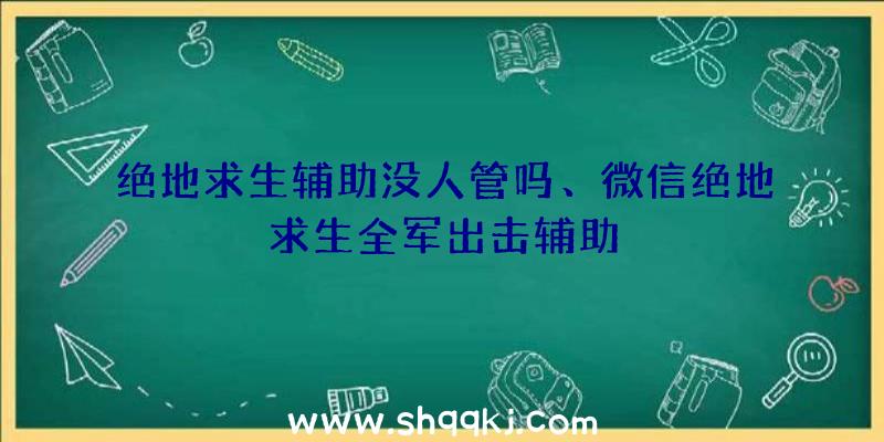 绝地求生辅助没人管吗、微信绝地求生全军出击辅助