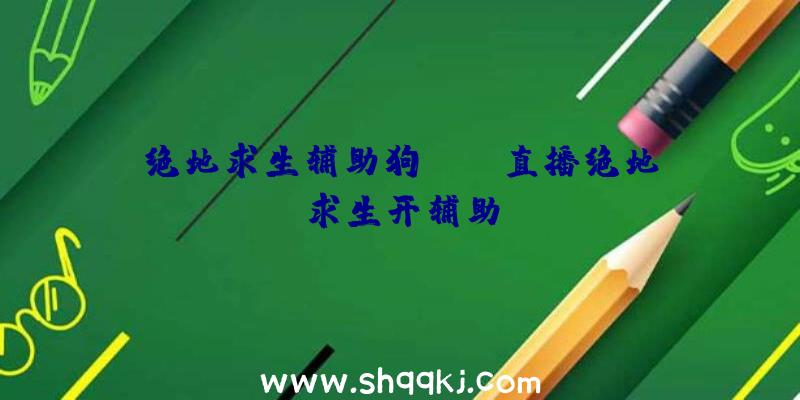 绝地求生辅助狗、obs直播绝地求生开辅助