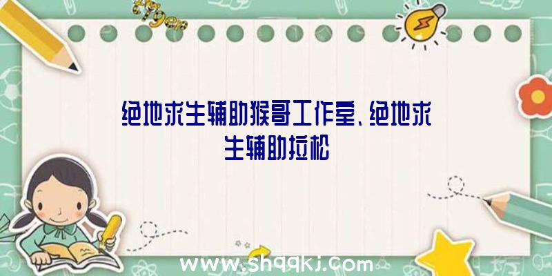 绝地求生辅助猴哥工作室、绝地求生辅助拉松