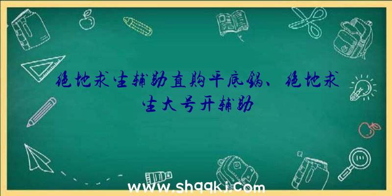 绝地求生辅助直购平底锅、绝地求生大号开辅助