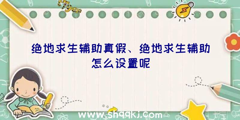 绝地求生辅助真假、绝地求生辅助怎么设置呢