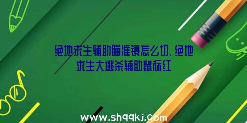 绝地求生辅助瞄准镜怎么切、绝地求生大逃杀辅助鼠标红