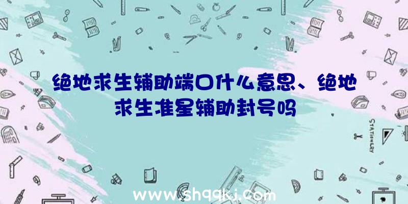 绝地求生辅助端口什么意思、绝地求生准星辅助封号吗