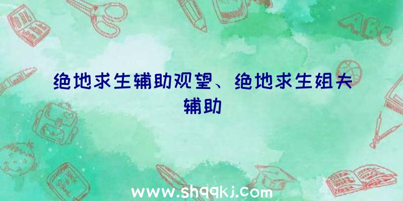 绝地求生辅助观望、绝地求生姐夫辅助