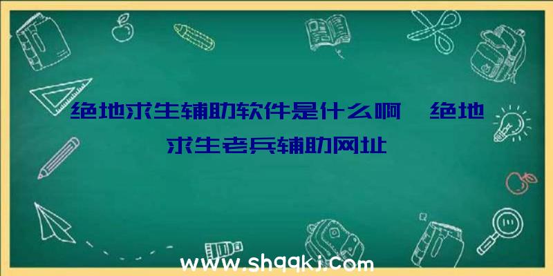 绝地求生辅助软件是什么啊、绝地求生老兵辅助网址