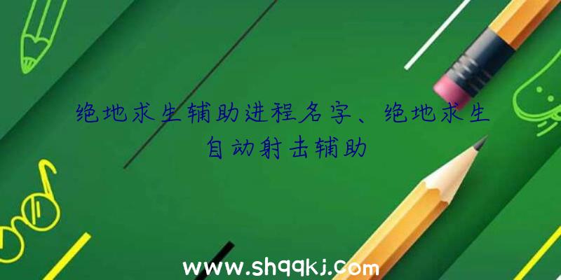 绝地求生辅助进程名字、绝地求生自动射击辅助