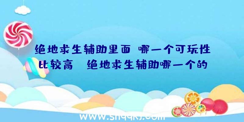 绝地求生辅助里面,哪一个可玩性比较高？（绝地求生辅助哪一个的好玩度提高些呢？）