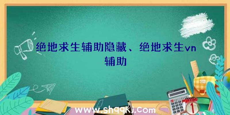 绝地求生辅助隐藏、绝地求生vn辅助