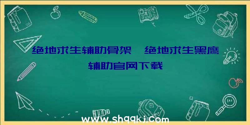 绝地求生辅助骨架、绝地求生黑鹰辅助官网下载