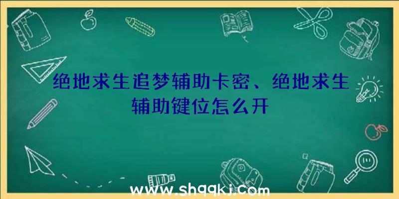 绝地求生追梦辅助卡密、绝地求生辅助键位怎么开