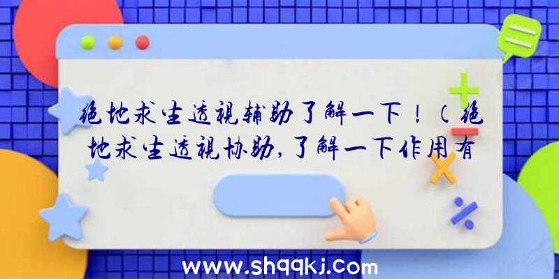 绝地求生透视辅助了解一下！（绝地求生透视协助,了解一下作用有哪些？）