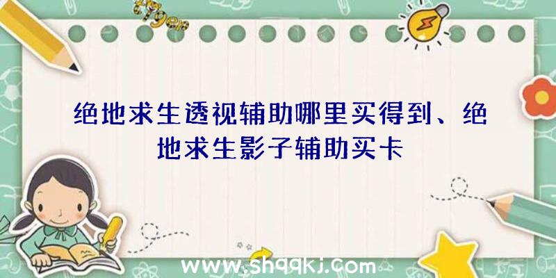 绝地求生透视辅助哪里买得到、绝地求生影子辅助买卡