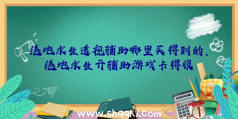 绝地求生透视辅助哪里买得到的、绝地求生开辅助游戏卡得很