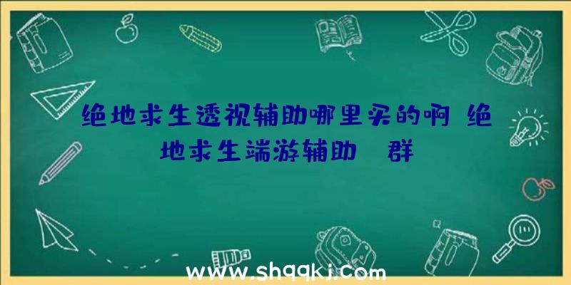 绝地求生透视辅助哪里买的啊、绝地求生端游辅助qq群